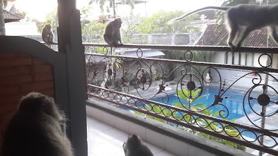 Photos of Royal Kamuela Ubud