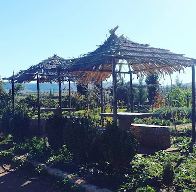 Photos of Caf&eacute;-R&eacute;staurant-Piscine Hacienda