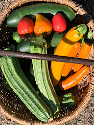 Photo n°61 de Maison d'hôtes de charme pour groupe avec table d'hôtes et gîte près de Belcastel (Aveyron): Moulin de Limayrac à Colombiès (Location d'appartement de vacances)