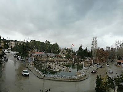 Photos of Kanaan Group Hotel