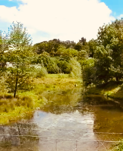 Photo de Plan d'eau de la Grenouillère à Saint-Antoine-du-Rocher (37360)