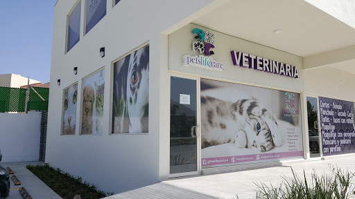 Veterinaria Pets Life & Care Suc. Cumbres Hospital Veterinario - Thumbnail