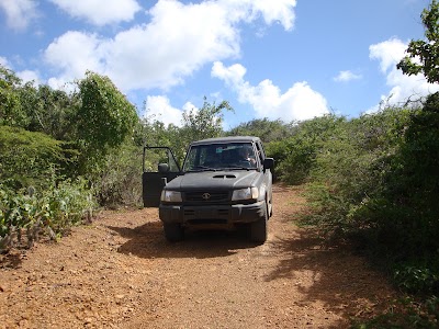Photos of Back2Nature Private Jeep Tours Curacao