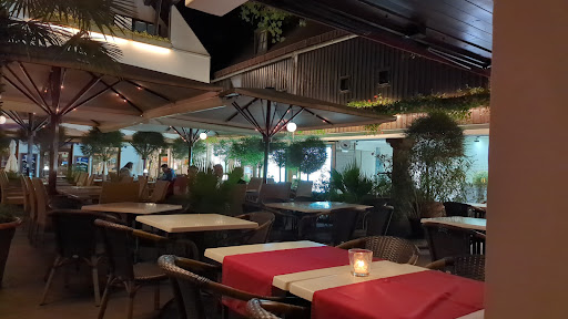 Maxi's Bar - Visual