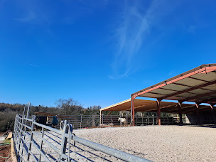 Photo n°2 de White Wood Farm à Ban-de-Sapt (Appartement de vacances)