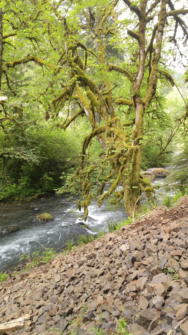 Abiqua Falls Trailhead