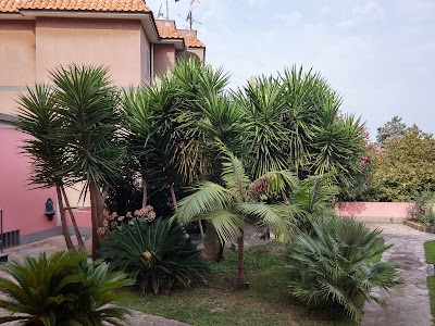 Photos of Domus Aequana Ditta individuale SCARAMELLINO CIRO
