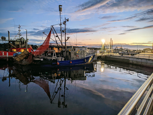 Fish-A-Fare Gallery - Australia