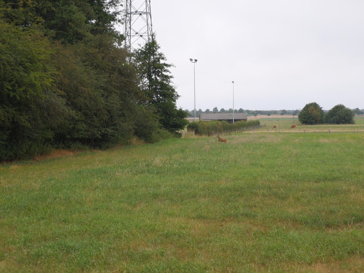 Sportplatz Meerdorf