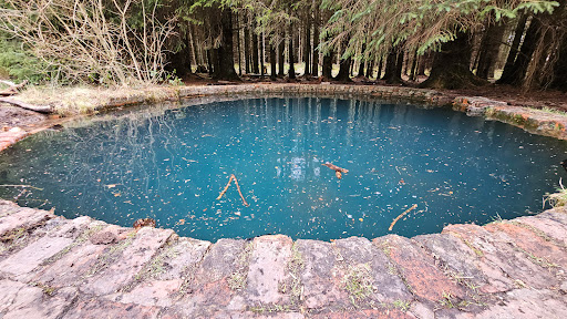 Torwood Blue Pool