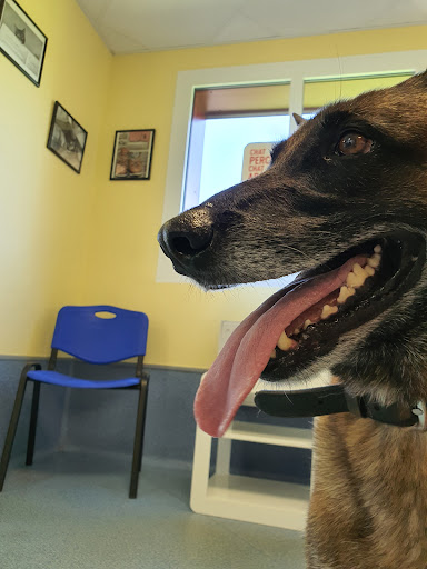 Veterinary Clinic Lonchay Soete - Thumbnail