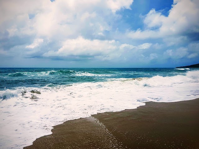 Chinaman's Beach Car Park