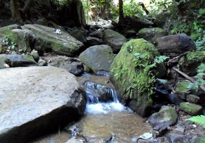 Photos of trekking trip to Boga lake and Mt. Keokradong