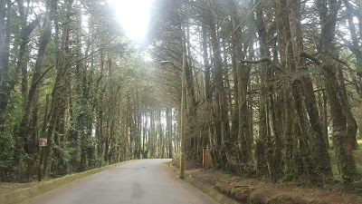 Photos of Luna de Xelaju