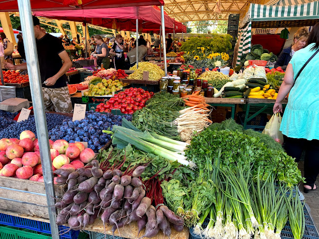 Polna 8/10, 81-745 Sopot