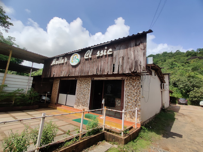 Mollu's Classic: Diverse Flavors in Palolem