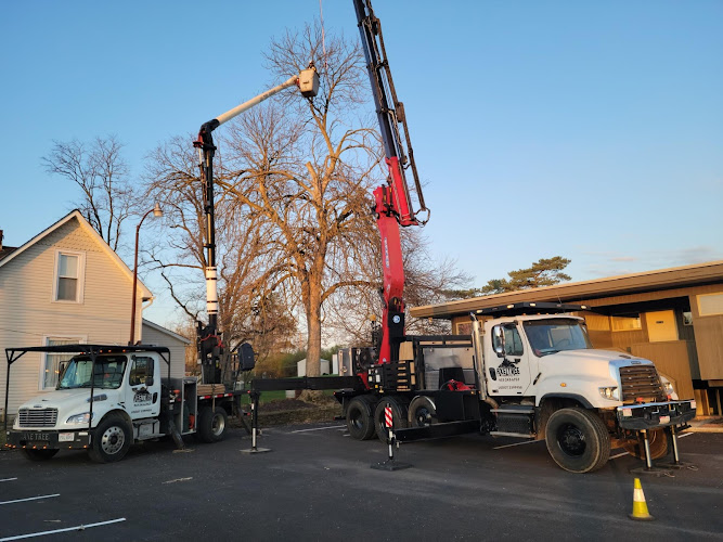 Axetree LLC
