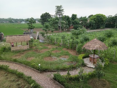 Photos of hotel tree tops