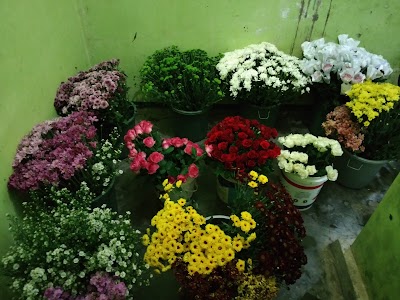 Photos of Raja Florist