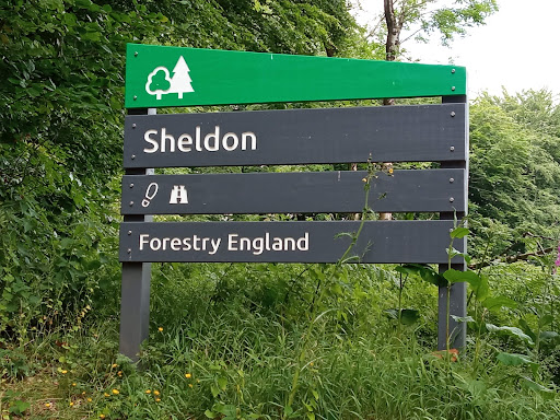 Sheldon Forest Nr Sheldon Logo