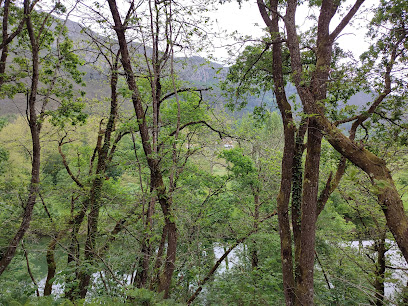 club-piraguismo-el-sella