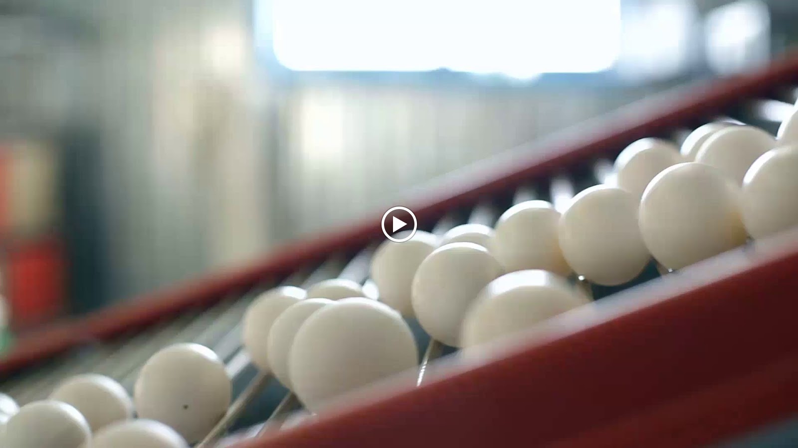 taiba farms - صورة 3