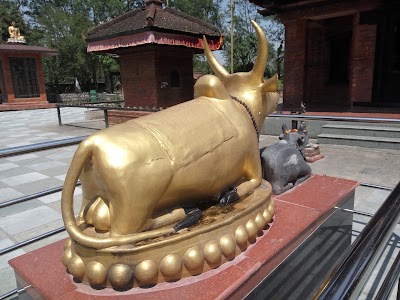 Photos of Miteri Park