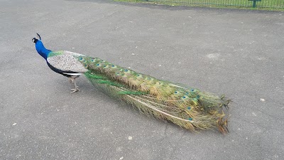 Photos of Odenkirchen Zoo