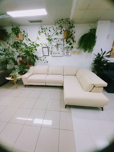 NouSofà - Visual