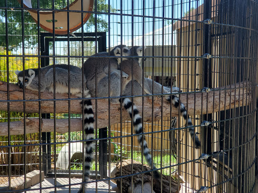 Spring River Zoo - Visual