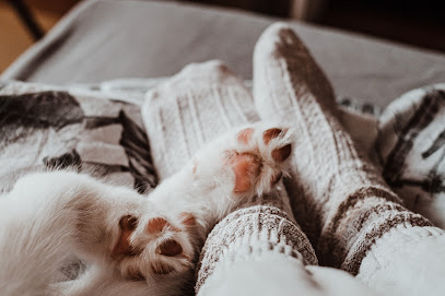 Milky Paw - Comportementaliste chat & Conseillère en Fleurs de Bach