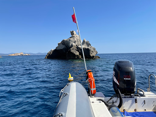 All dive sas di Marco Colonna & C Centro Immersioni - - Thumbnail