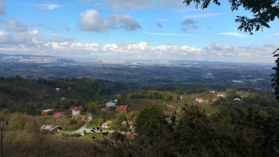 Photos of Yeşiltepe tea garden