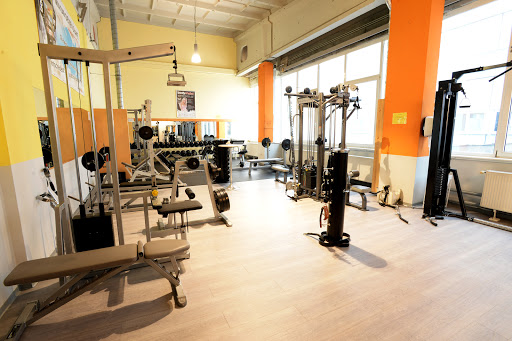 Fitco Fitness GmbH - ActivSports - Thumbnail