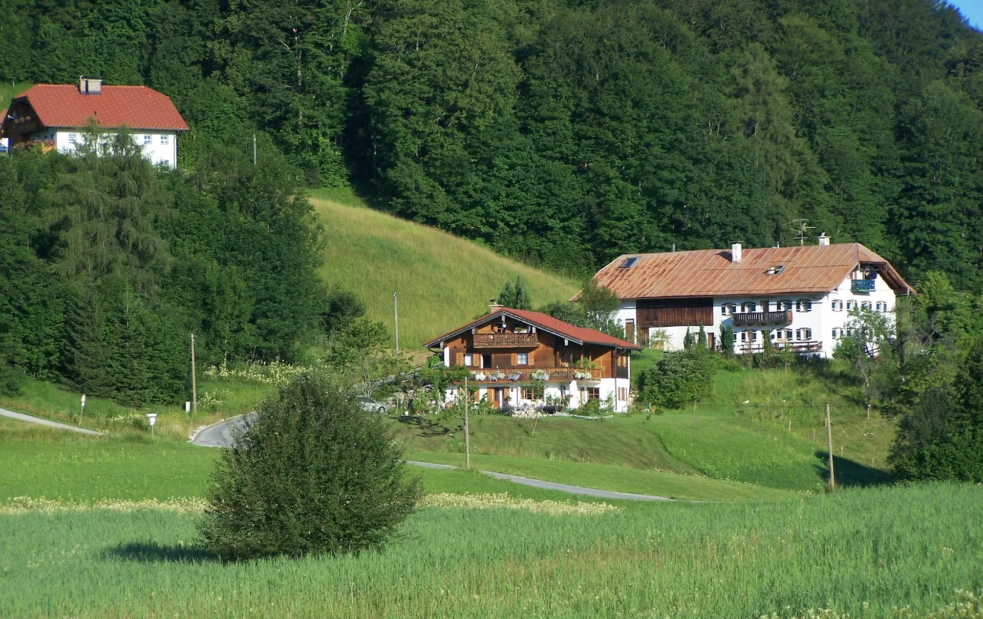Pension Lehnhäusl Fam. Aschauer