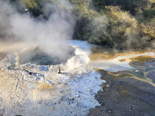 Te Puia Thermal Park - Thumbnail