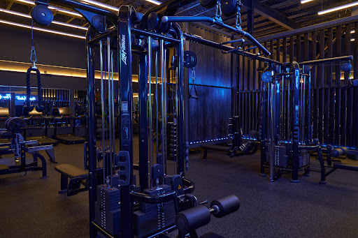 The Open Gym at HYLO Fitness - Thumbnail