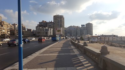 Photos of Tolip Beach