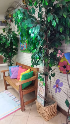 Shallowater Elementary School - Visual