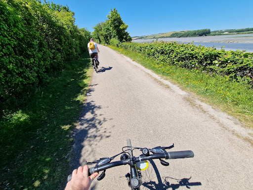 The Cycle Hive Gallery - United Kingdom