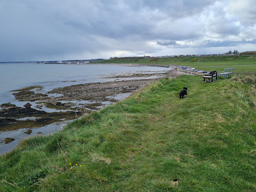 Carnoustie - Thumbnail