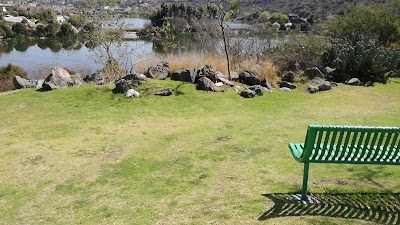 Photos of Parque Bicentenario