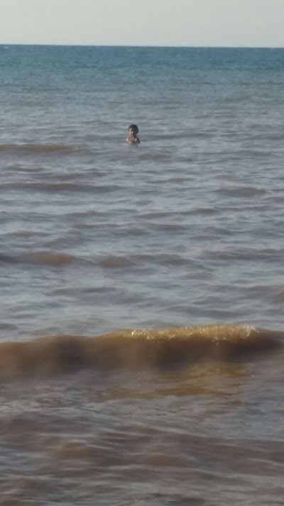 Photos of Ein Elborj Beach
