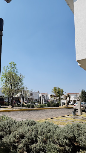 Tienda universo