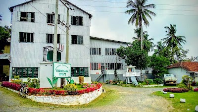 Photos of Baddegama Estate