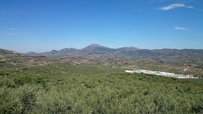 Photos of Hotel Bulevard