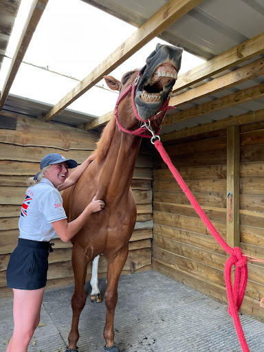 Amy Stone Veterinary Physiotherapy - Thumbnail