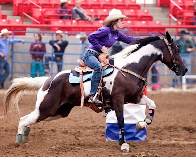 Lightning Strike Ranch