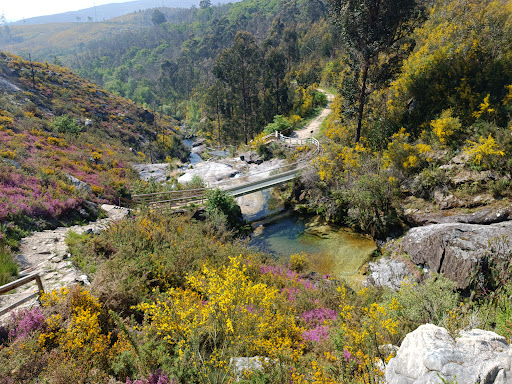 Cascada de Tourón Gallery - Spain