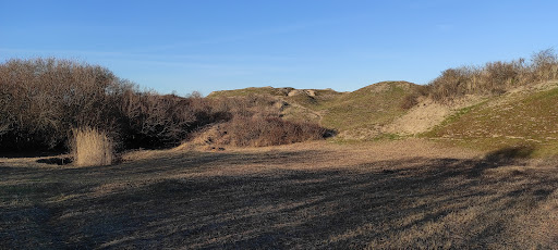 Parking de la dune Marchand - Thumbnail